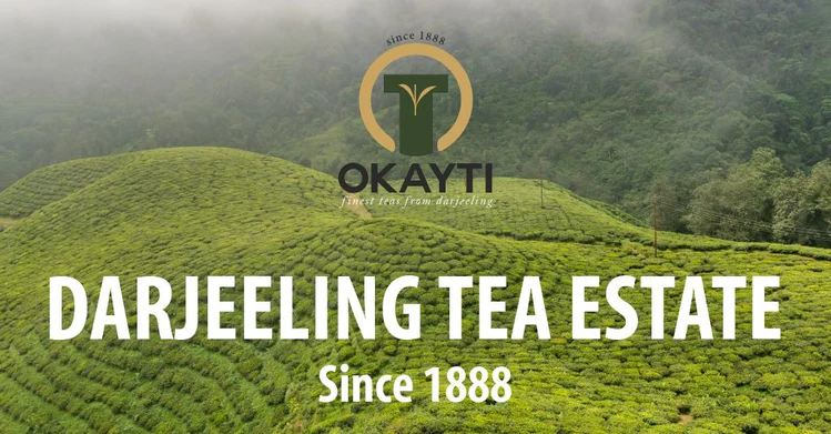 Okayti Tea Estate known for single estate organic Darjeeling tea
