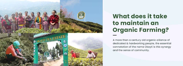 Importance of Fair Trade & Sustainability In Organic Tea Farming